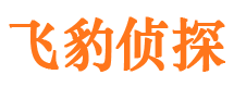 新民市婚外情调查